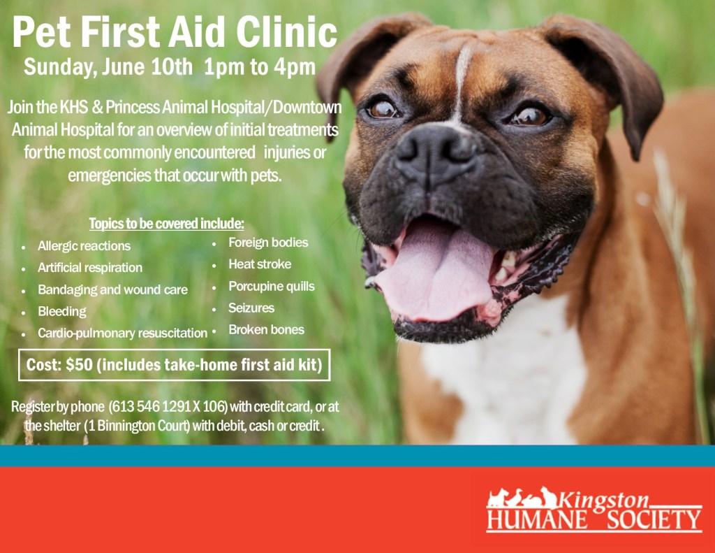 Kingston Humane Society Pet First Aid Clinic  Fresh Radio